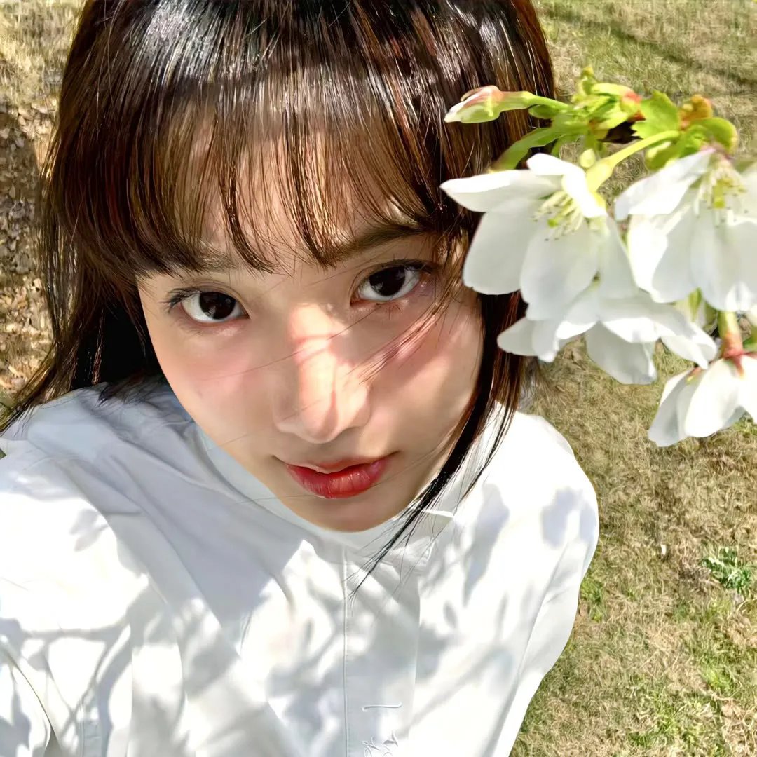 精武之拳战江湖